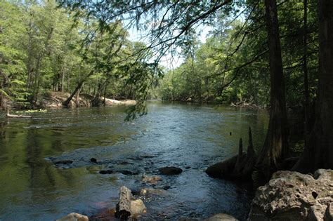 Santa Fe River and Sink | Florida State Parks