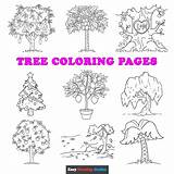 Free Printable Tree Coloring Pages For Kids sketch template