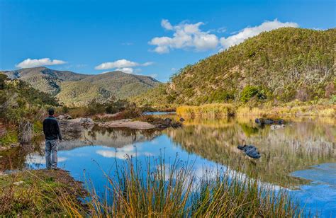 Lower Snowy River area | NSW National Parks