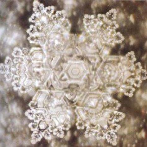 Snowflake | Masaru emoto, Crystals, Masaru emoto water