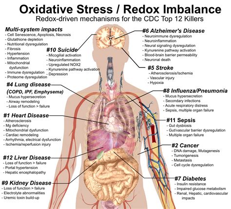 Redox Health and the CDC Top 12 Killers - Redox Health