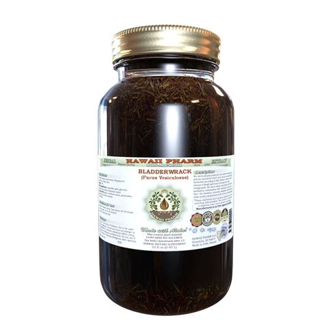 Bladderwrack (Fucus Vesiculosus) Glycerite, Dried Whole Plant Alcohol-Free Liquid Extract, Black ...