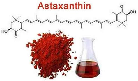 What are the side effects of astaxanthin? - Blog - Undersun Biomedtech Corp