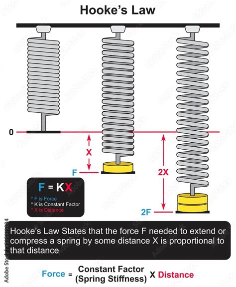 Compression Force Diagram