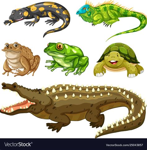 Set reptile animal Royalty Free Vector Image - VectorStock