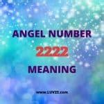 Angel Number 2222 Meaning | Angel Number Readings