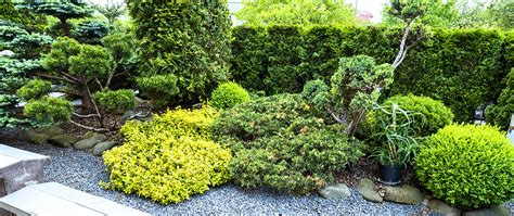 7 Low-Maintenance Landscaping Ideas- Meyer Landscape