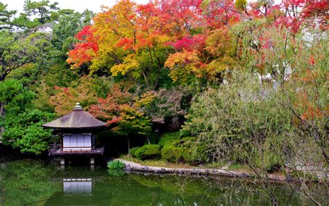 Wakayama Castle | Wakayama Attractions | Travel Japan | JNTO