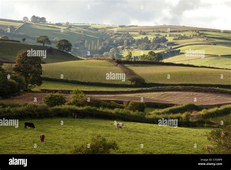 The England countryside in South Shropshire near Clun, Britain UK Stock Photo - Alamy