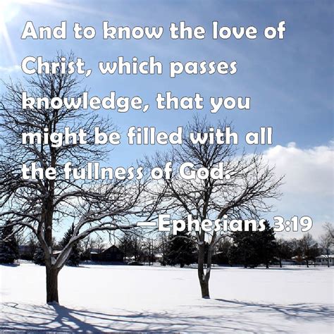 Ephesians 3:19 And to know the love of Christ, which passes knowledge, that you might be filled ...