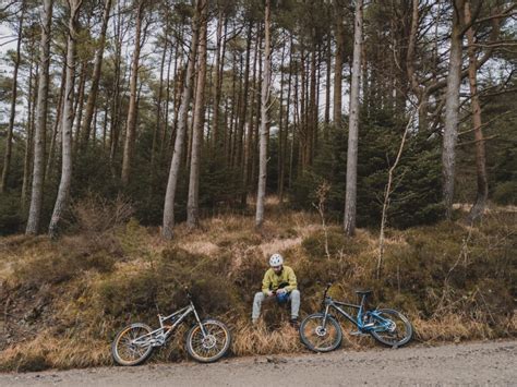 Grizedale Forest Park - Things to Do | Lake District | Park Cliffe