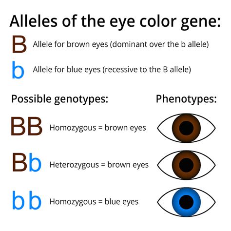 NGSS Biology