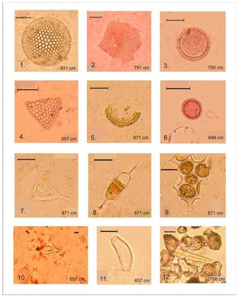 Quaternary | An Open Access Journal from MDPI