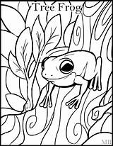 Frog Coloring Pages For Adults At GetColoringscom  Free Printable sketch template