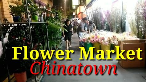 Rocklea Flower Markets Opening Hours | Best Flower Site