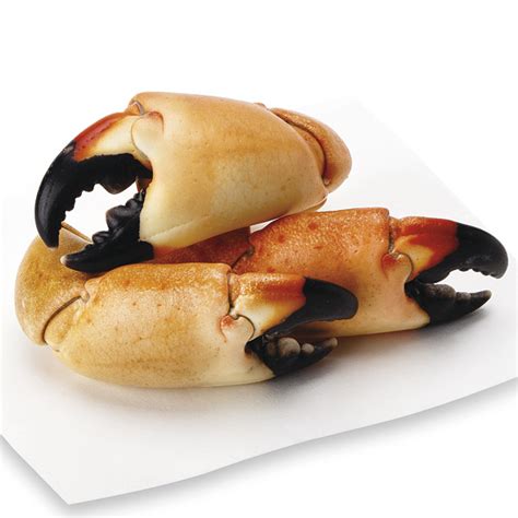 Stone Crab Claws, Medium, 6-8 Claws/Lb, Cooked Fresh, Wild : Publix.com