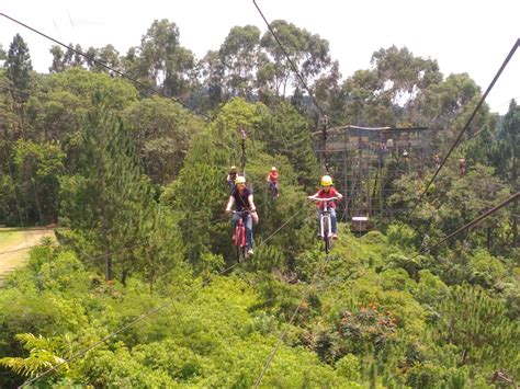 Anything goes...: Family Adventure at Eden Nature Park Skycycle