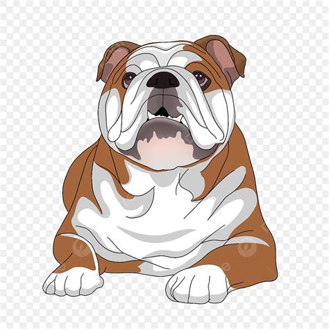 Bulldog Clipart Transparent