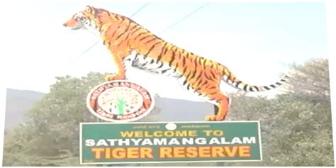 Sathyamangalam Wildlife Sanctuary | Tiger Reserve