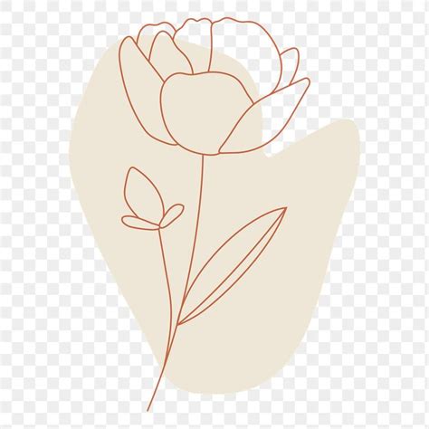 Download premium png of Flower line art transparent png by katie about flower png, rose, aesthe ...