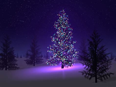 wallpapers: Christmas Trees Wallpapers