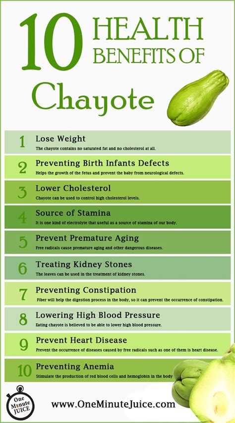 10 Health Benefits Of Chayote! | Healthy facts, Health remedies, Health