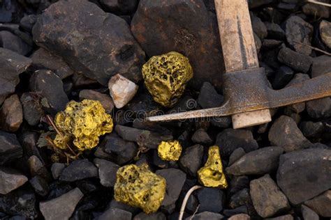 Gold Nugget Mining from the River in Austria, Real Gold. Stock Image ...