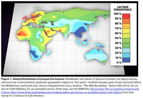 Got Lactase?