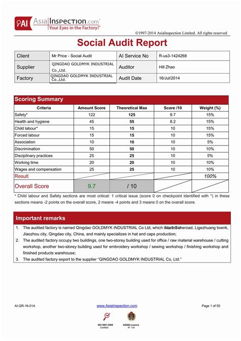 Social Media Audit Report Template