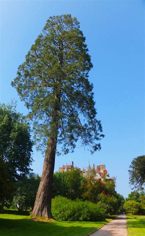 Mount Stuart House and Gardens | Bute | The Castles of Scotland, Coventry | Goblinshead