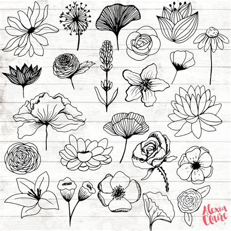 Flowers Clipart 23 Hand Drawn Floral Cliparts Realistic Floral Logo Art ...