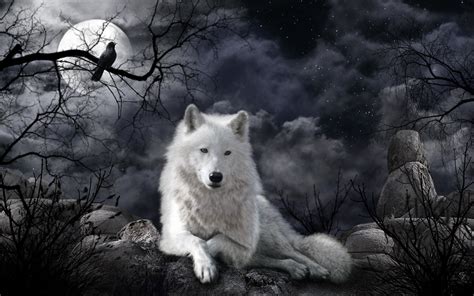 Night Wolf Wallpapers - Wallpaper Cave