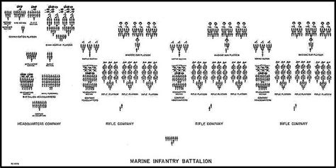 marine corps structure breakdown Car Tuning