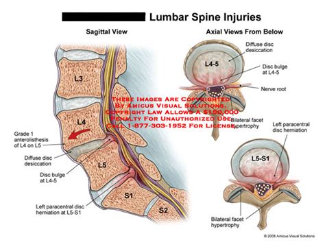 Medical Exhibits, Demonstrative Aids, Illustrations and Models