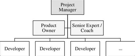 Project Management Team Structure