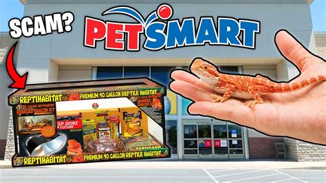 What is GOOD for Bearded Dragons at PetSmart? - YouTube