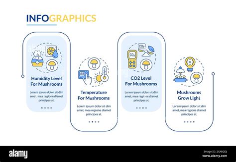 Mushroom growing conditions blue rectangle infographic template Stock ...