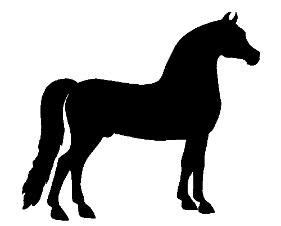 morgan horse clip art 10 free Cliparts | Download images on Clipground 2024