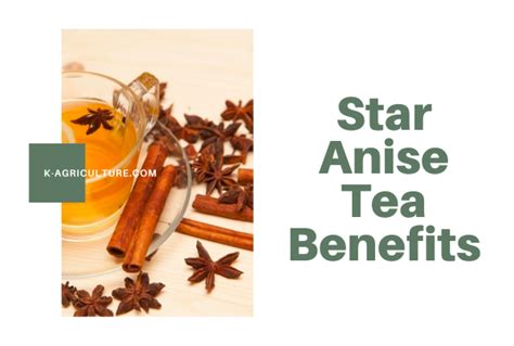 Star Anise Tea Benefits | K-Agriculture