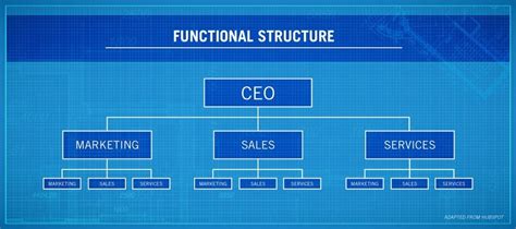 Functional Organization: Definition, Examples, Features, and Advantages