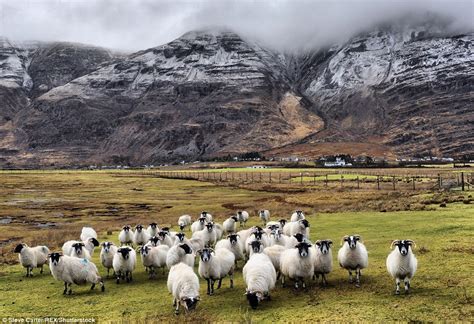 Photographer Steve Carter captures Scotland's seasonal landscape | Daily Mail Online