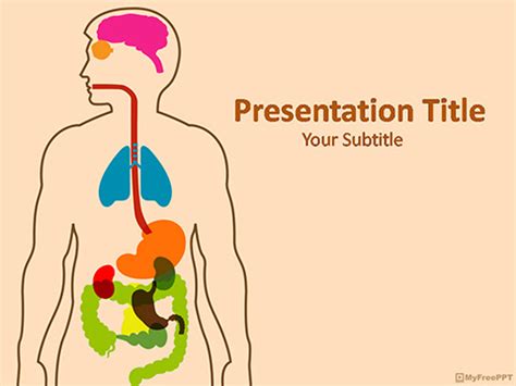 Free Human Anatomy PowerPoint Template - Download Free PowerPoint PPT