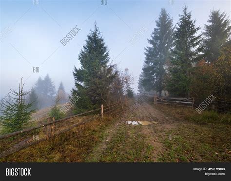 Foggy Autumn Mountain Image & Photo (Free Trial) | Bigstock