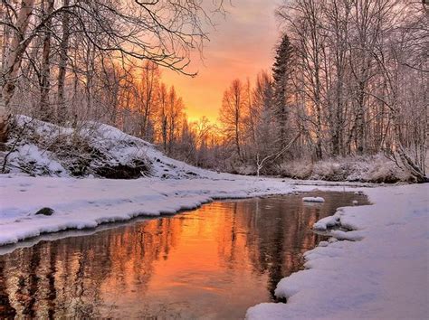 Warm Light | Winter scenery, Winter landscape, Winter landscape painting