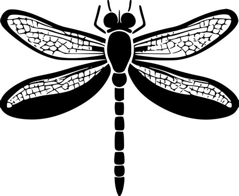 Dragonfly - Black and White Isolated Icon - Vector illustration ...