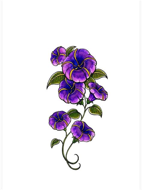 Update 75+ morning glory flower tattoo super hot - in.cdgdbentre