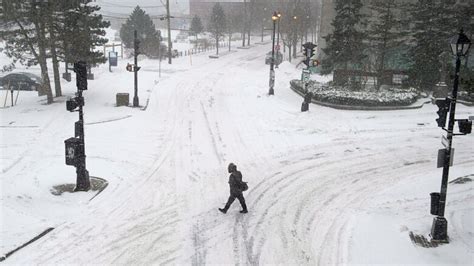 Snowstorm triggers cancellations, closures in Nova Scotia | CBC News