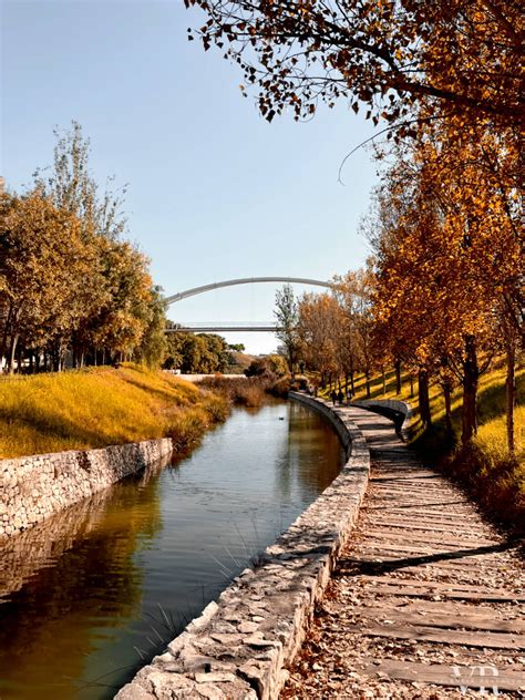 Valencia in October: Weather, Things to Do & What to Wear