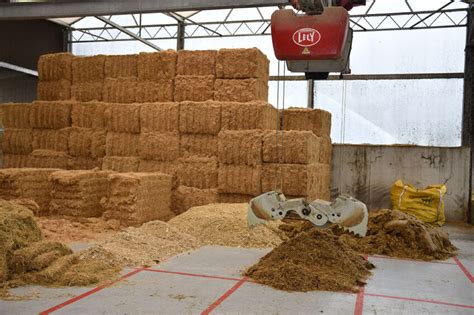 Managing silage supplies efficiently - All About Feed