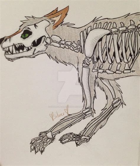 Dire Wolf Skeleton by Silverdreamstar31 on DeviantArt